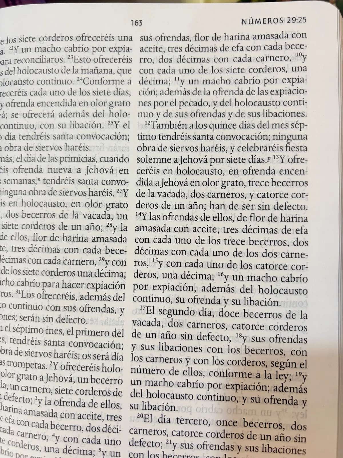 Biblia tapa dura diseño Rvr 1960