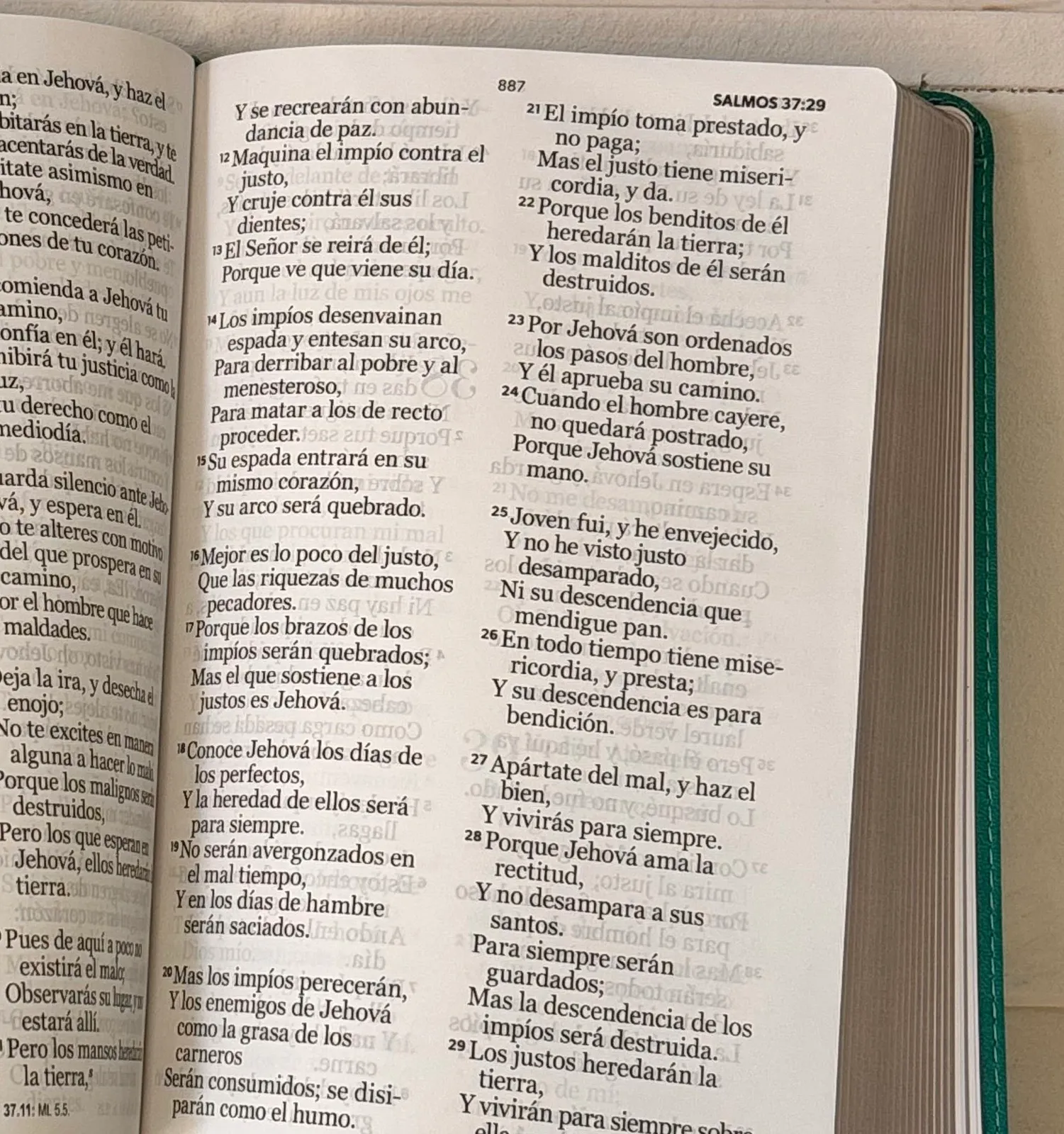 Biblia Tamaño Manual Letra Gigante 14 ptos Rvr 1960