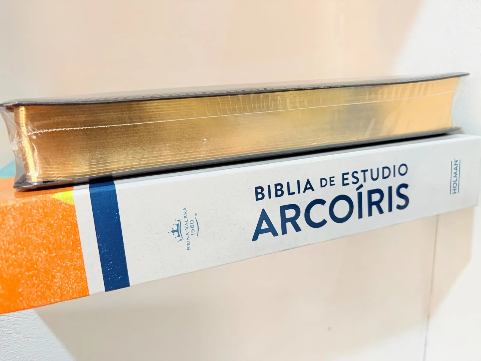 Biblia de Estudio Arcoíris Rvr 1960