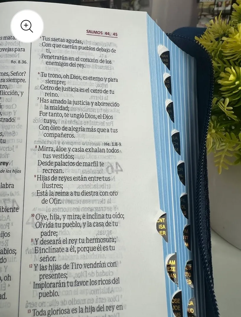 Biblia Bolsillo estilo jeans, Rvr 1960 con cierre