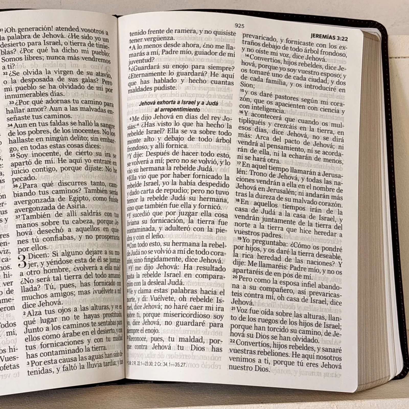 Biblia Letra Gigante 15 puntos Rvr 1960