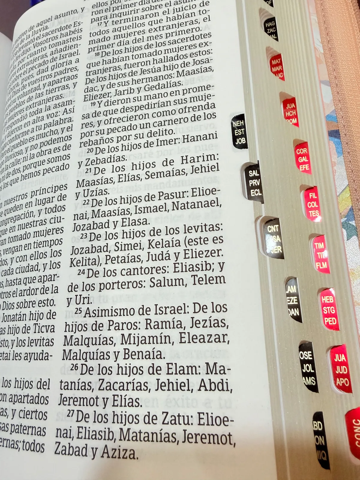 Biblia Letra Gigante 14 ptos Rvr 1960