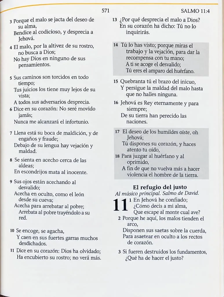 Biblia Inspira Rvr 1960 Edición Promesas letra Gigante