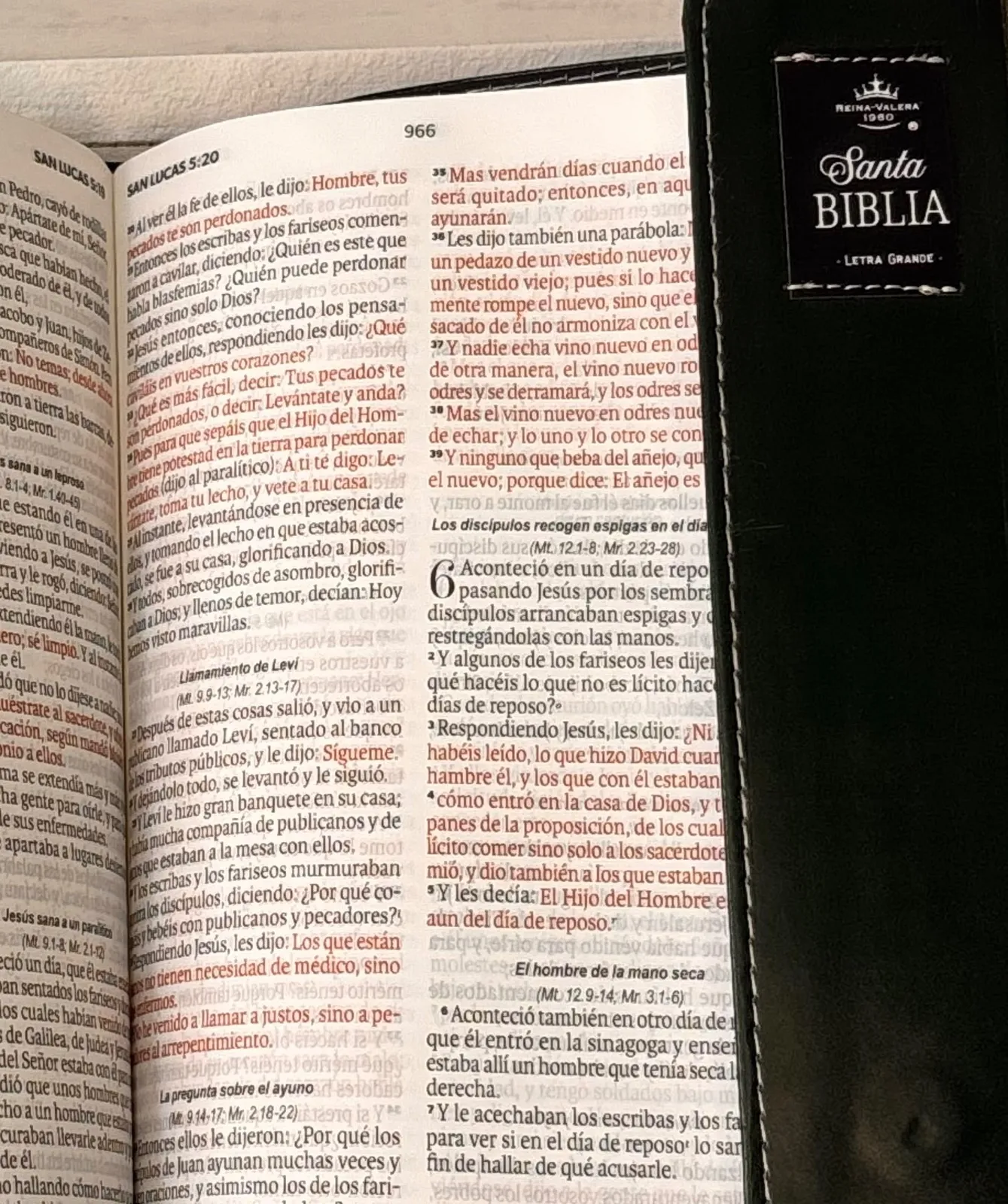 Biblia Maletín con imán